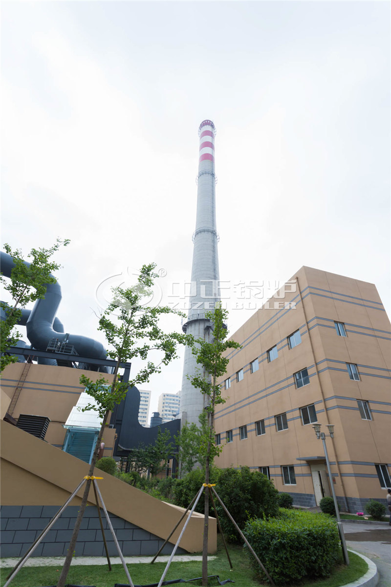 40噸燃生物質導熱油爐哪個更省錢一點